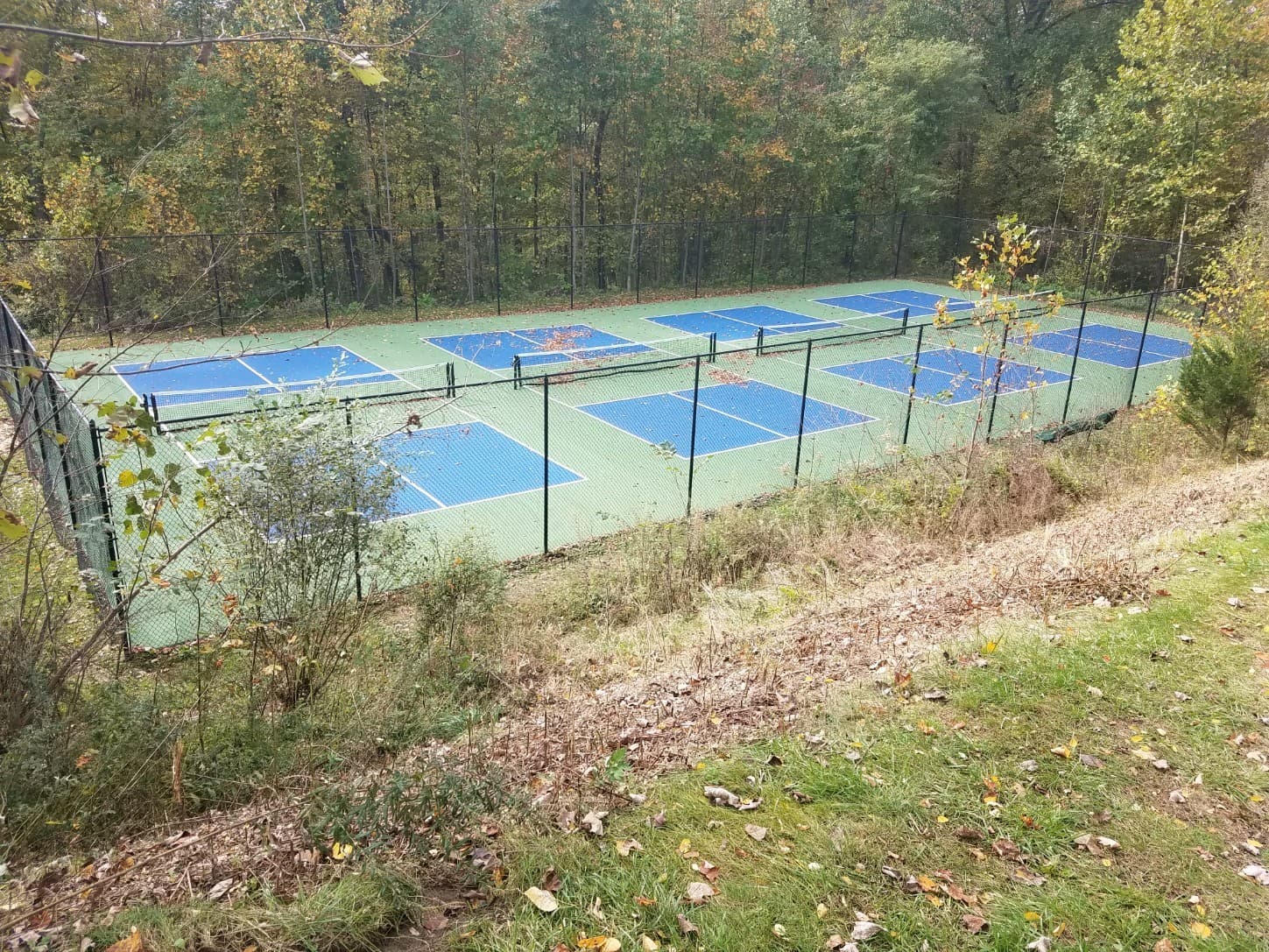 Croton Avenue Pickleball Courts pickleball courts