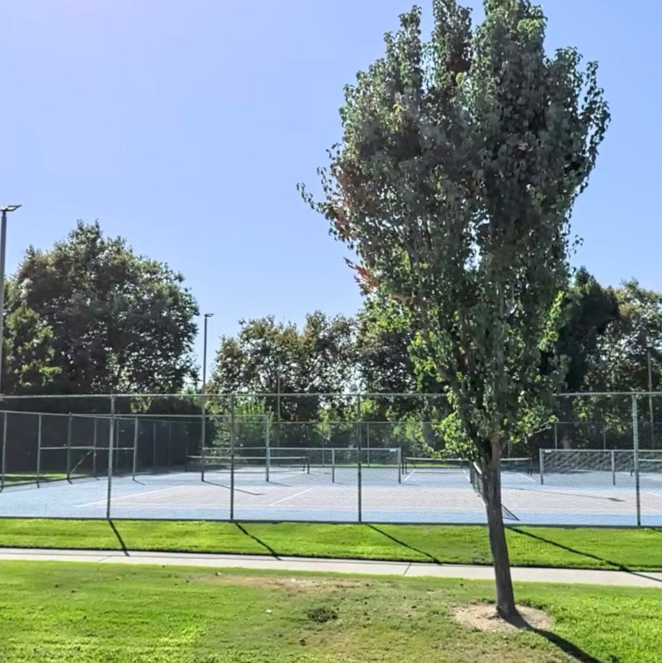Campus Park pickleball courts