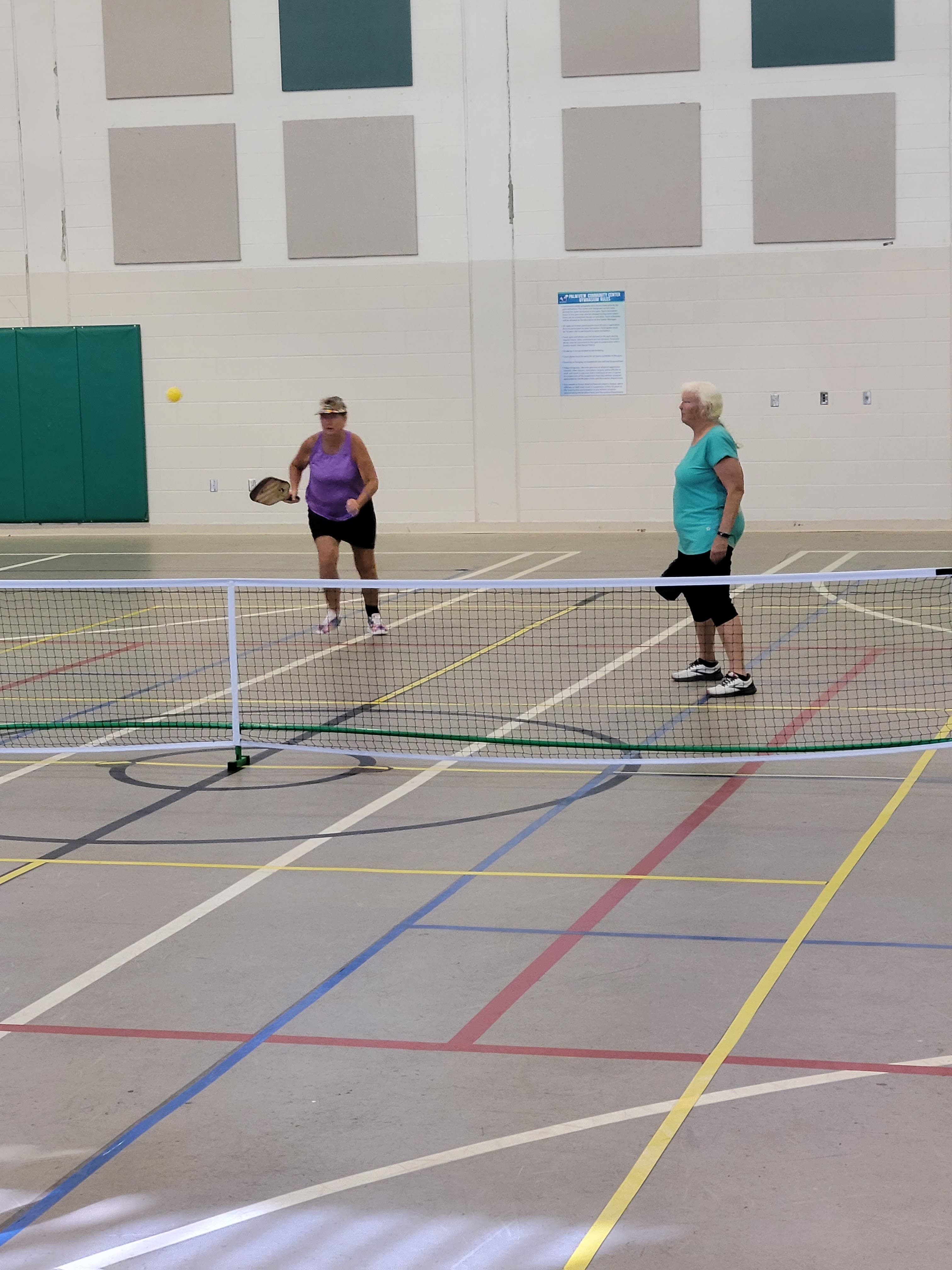Palm View Community Center pickleball courts