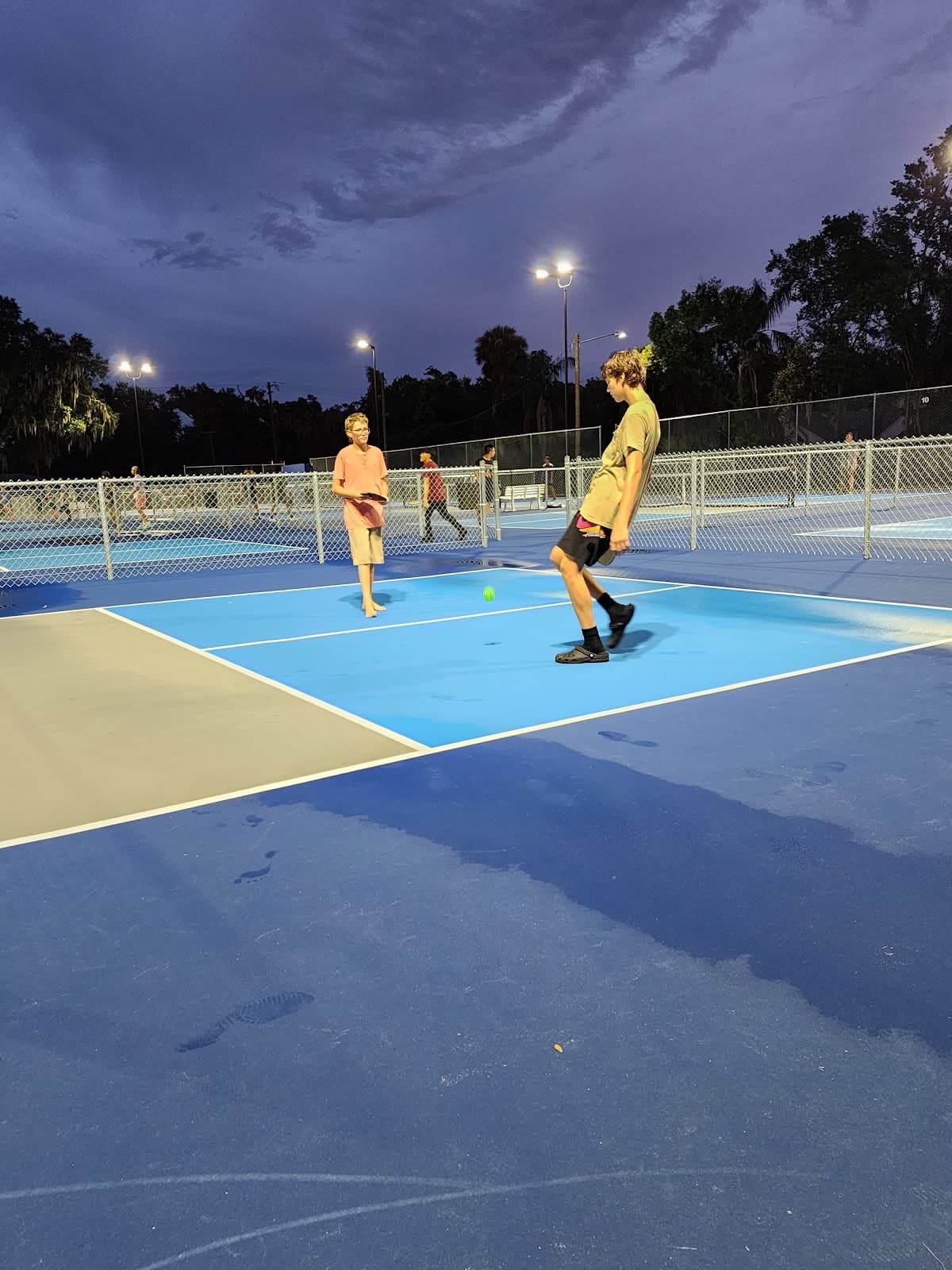 Nye Jordan Park pickleball courts