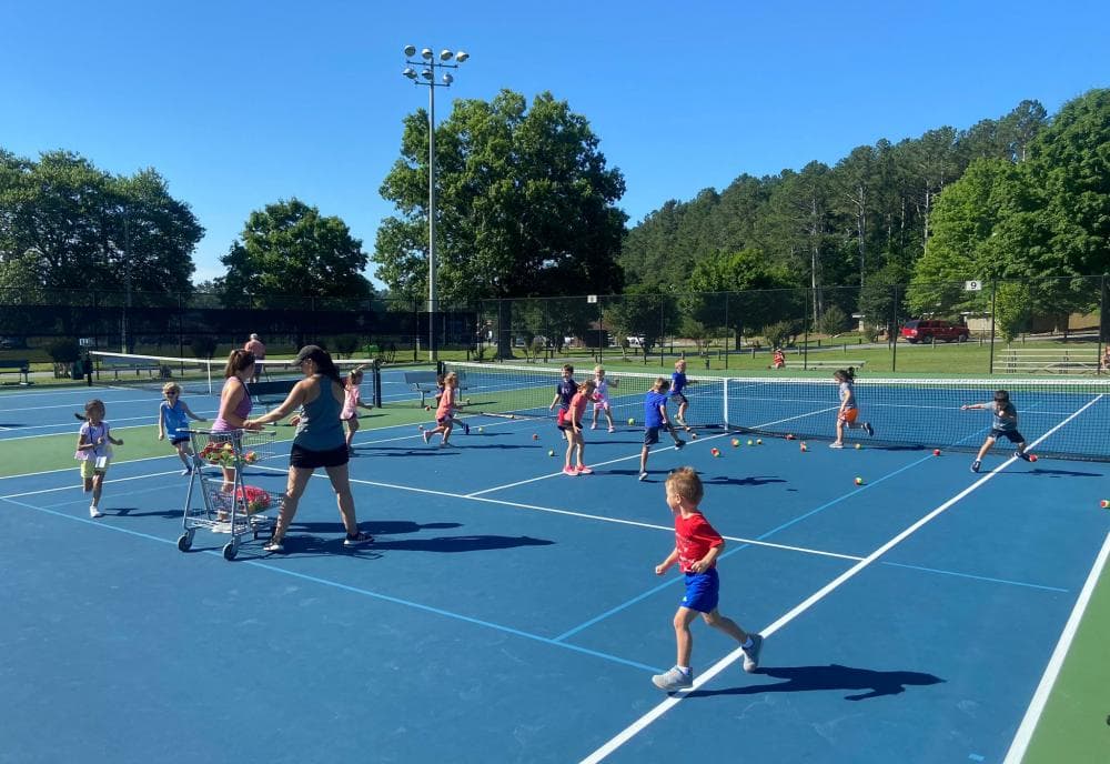 Dellinger Park pickleball courts