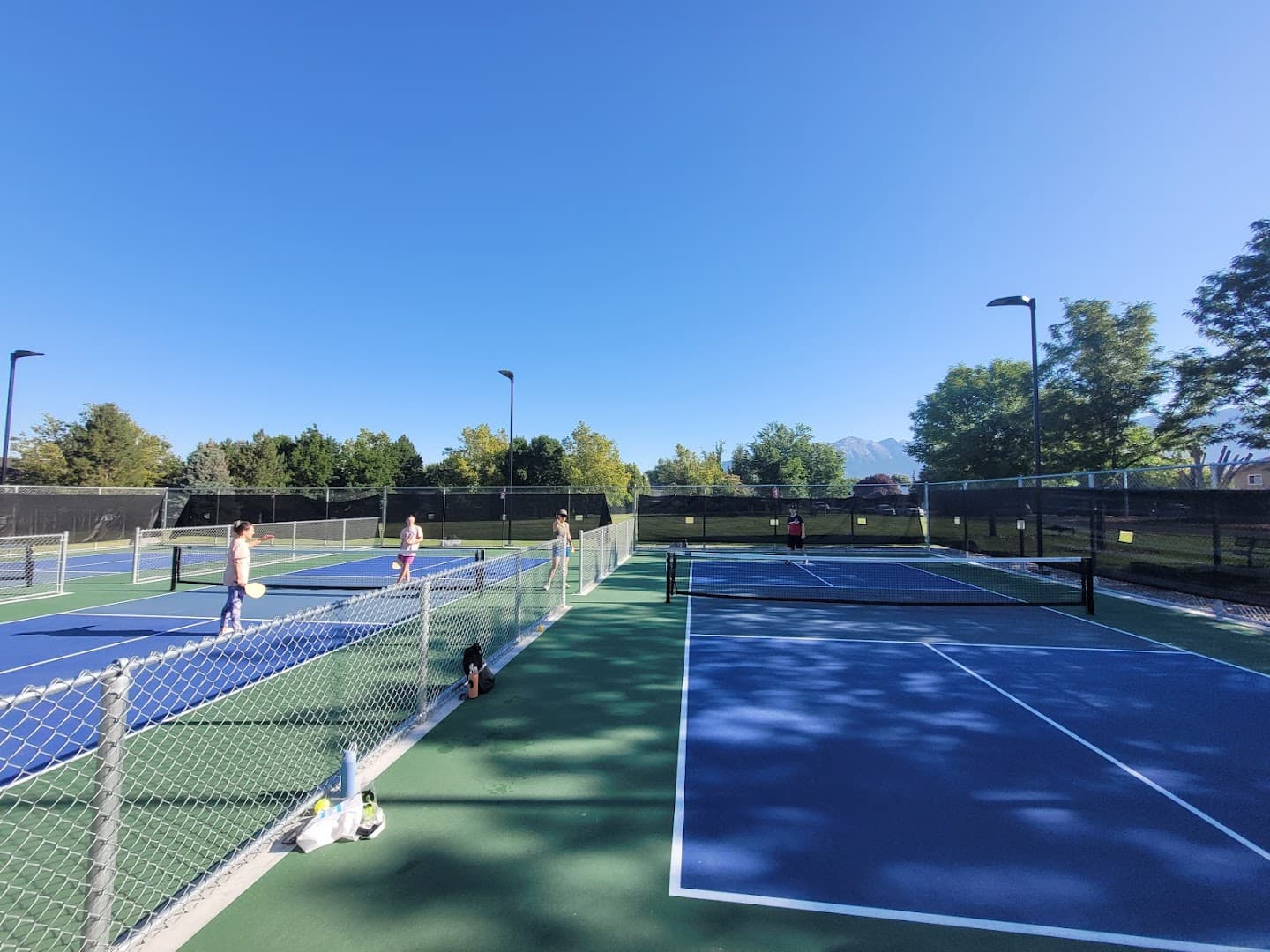 Hindley Park pickleball courts