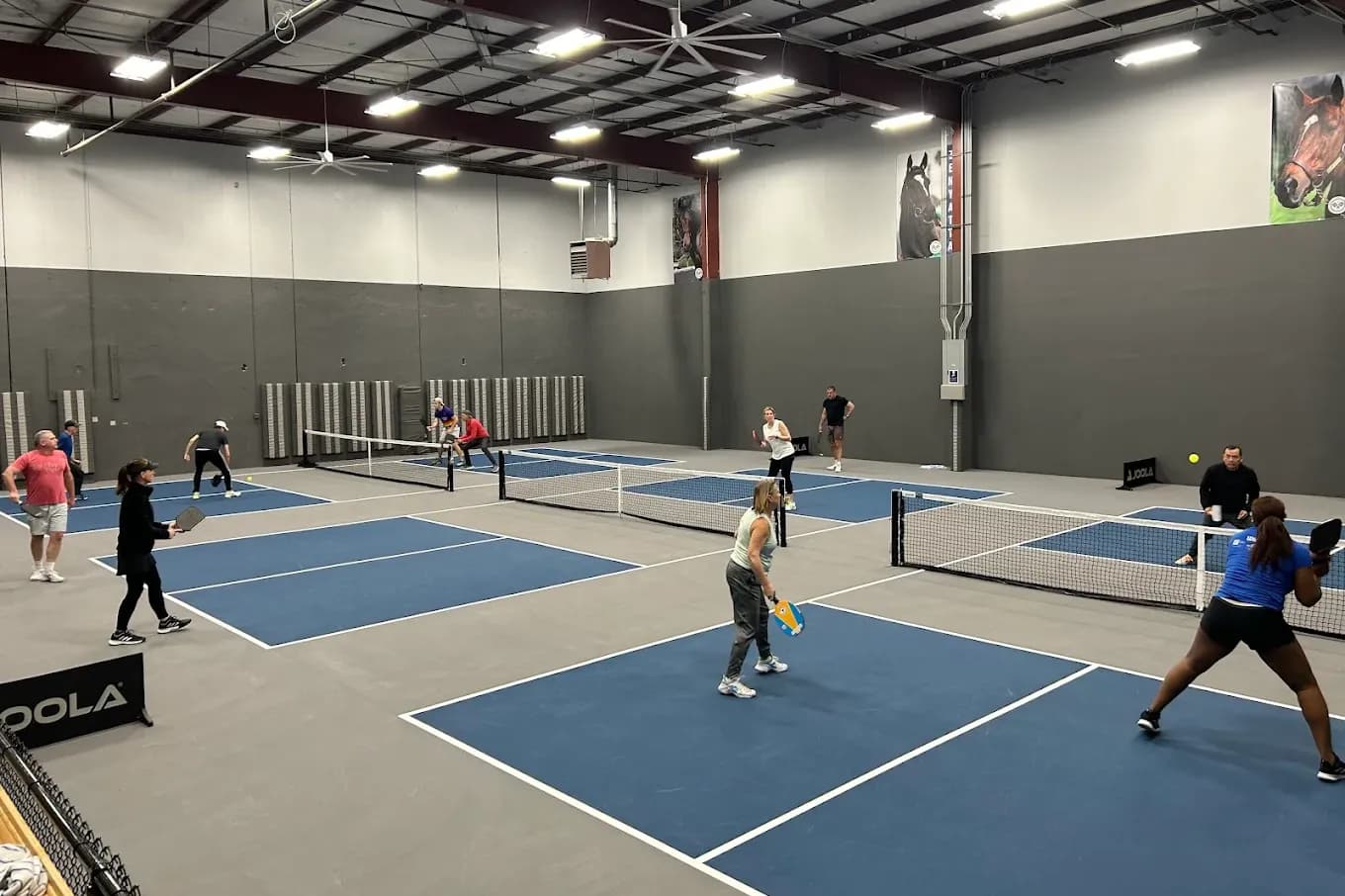 Thoroughbred Pickleball Courts pickleball courts
