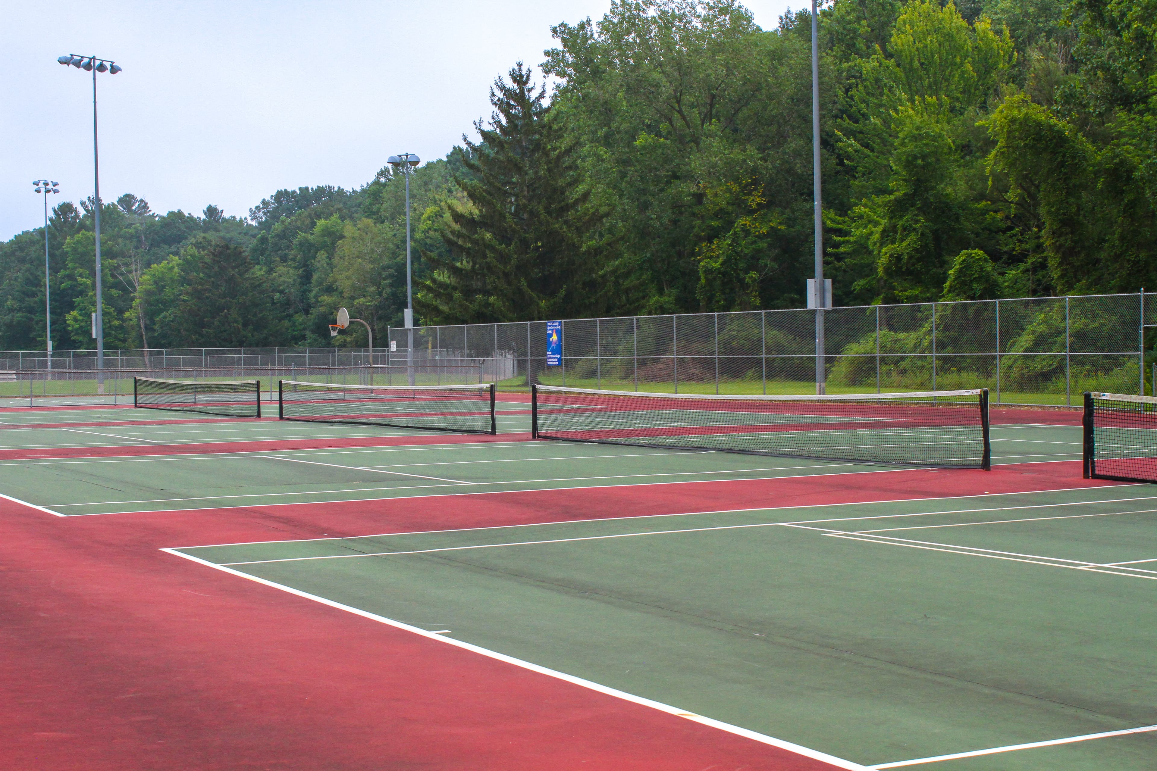 Lemery Park pickleball courts