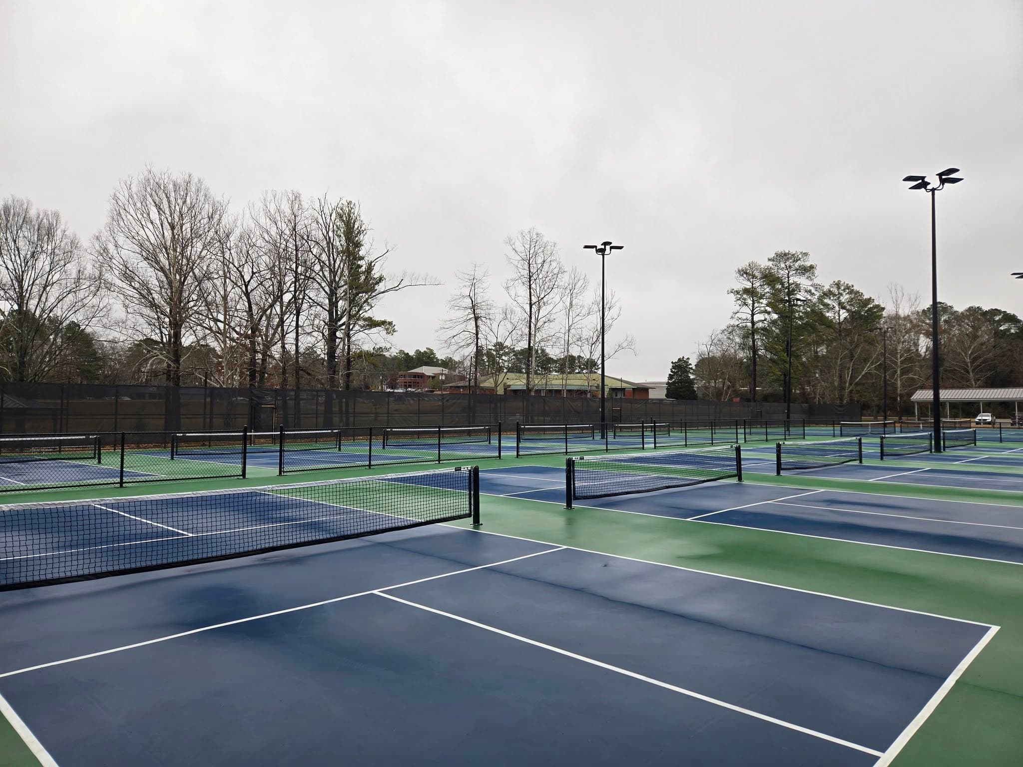 Pearl City Park pickleball courts