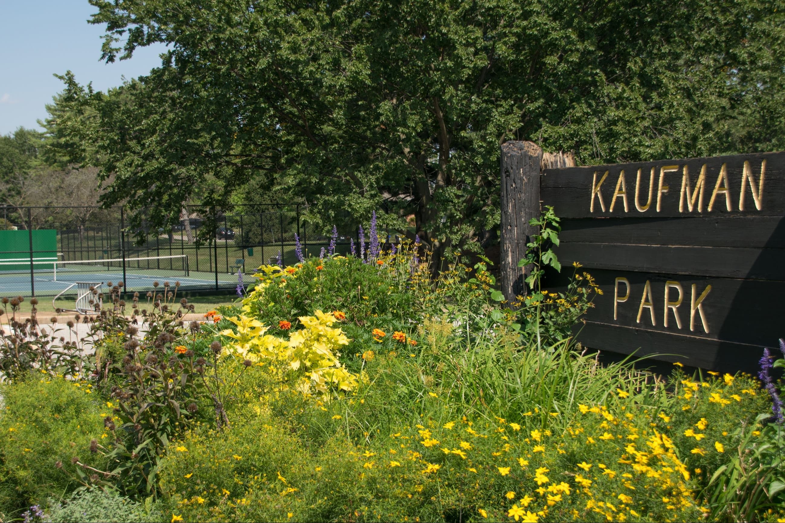 Kaufman Park pickleball courts