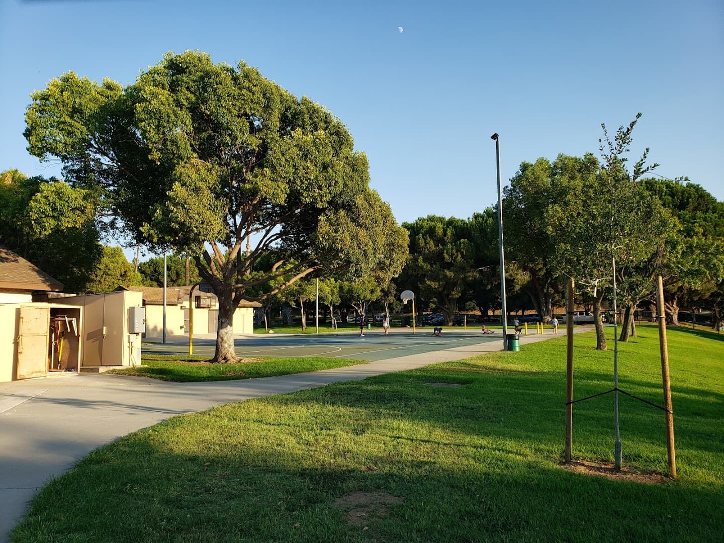 Peralta Park pickleball courts