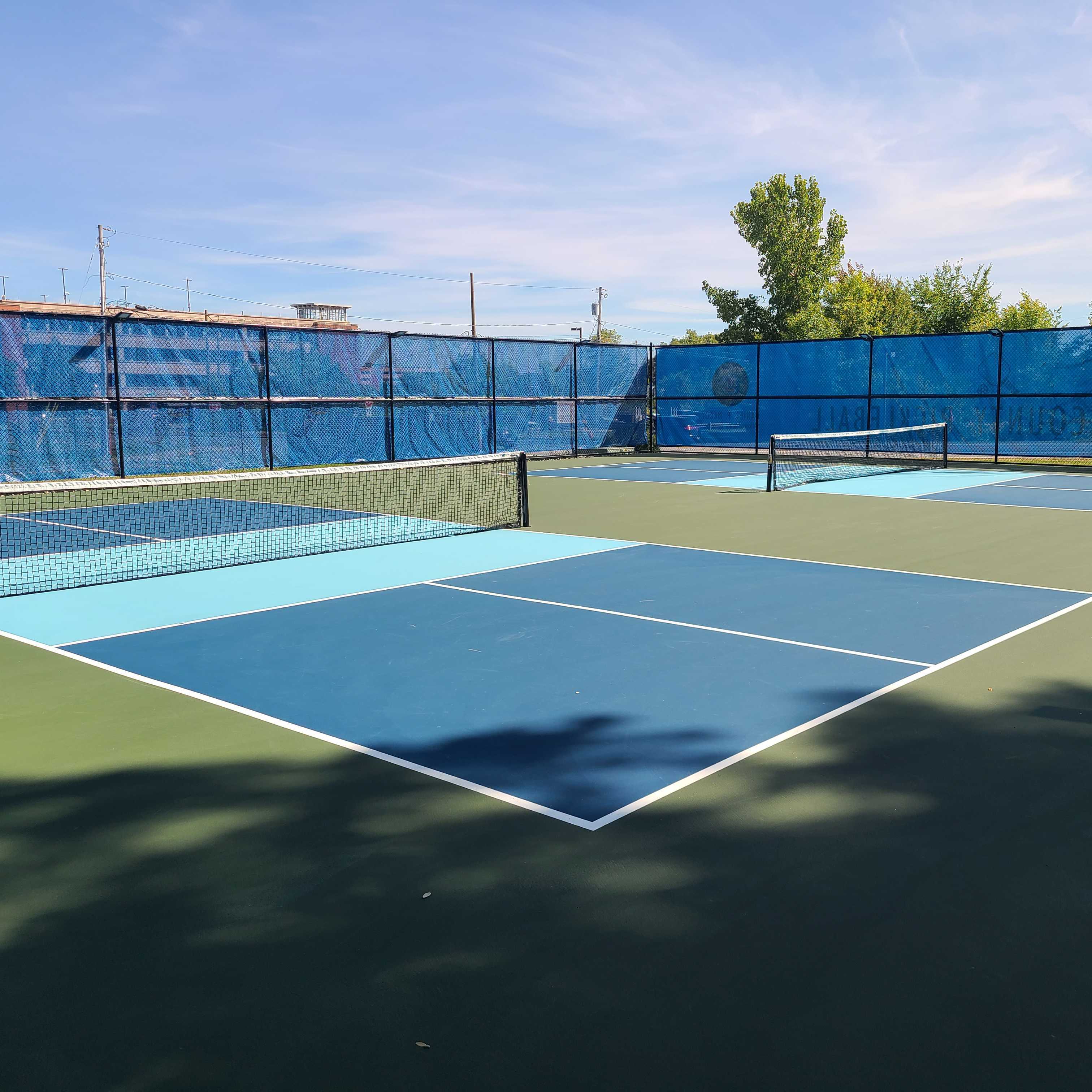 Albany County Pickleball pickleball courts