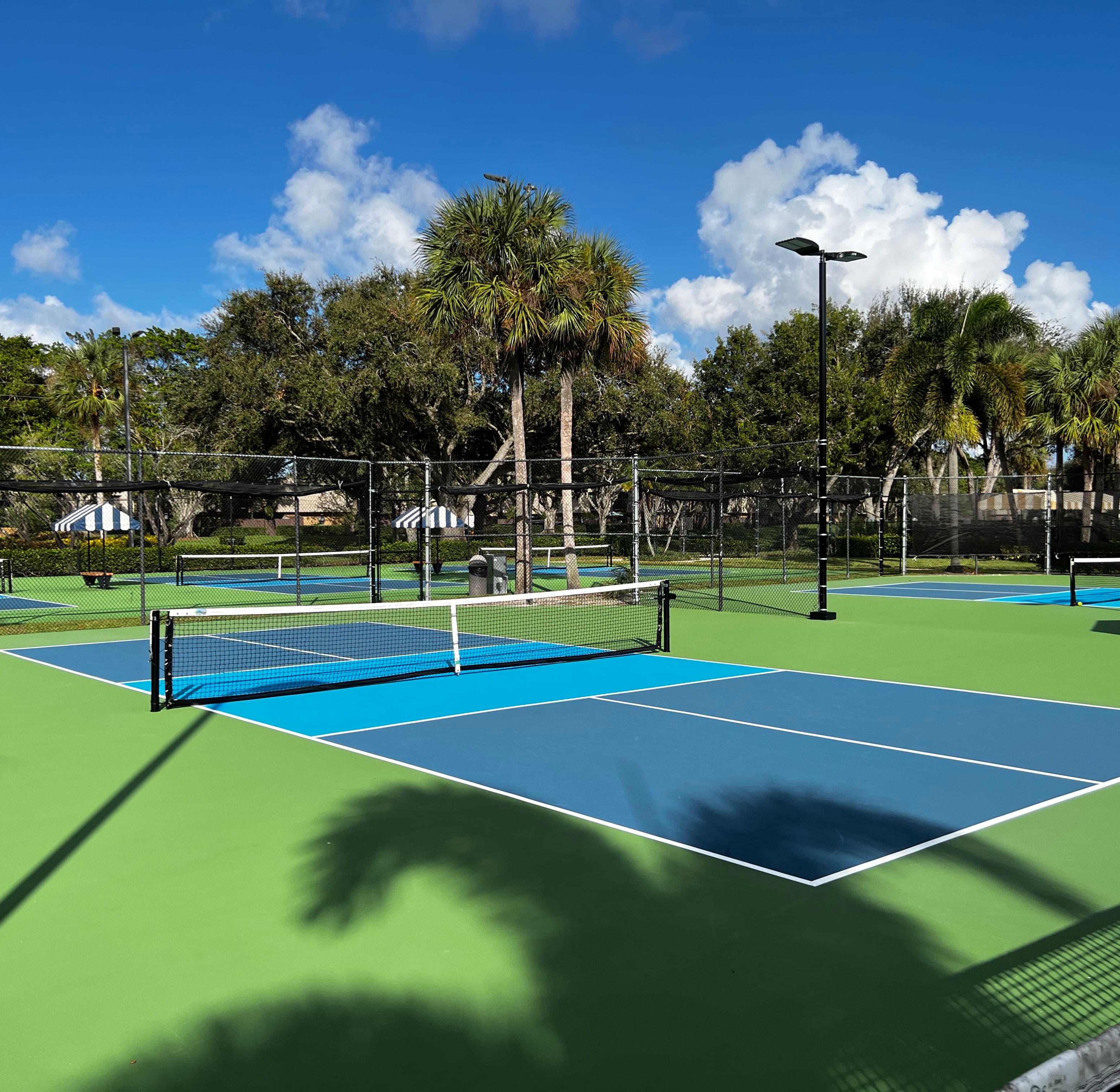 Perini Park pickleball courts