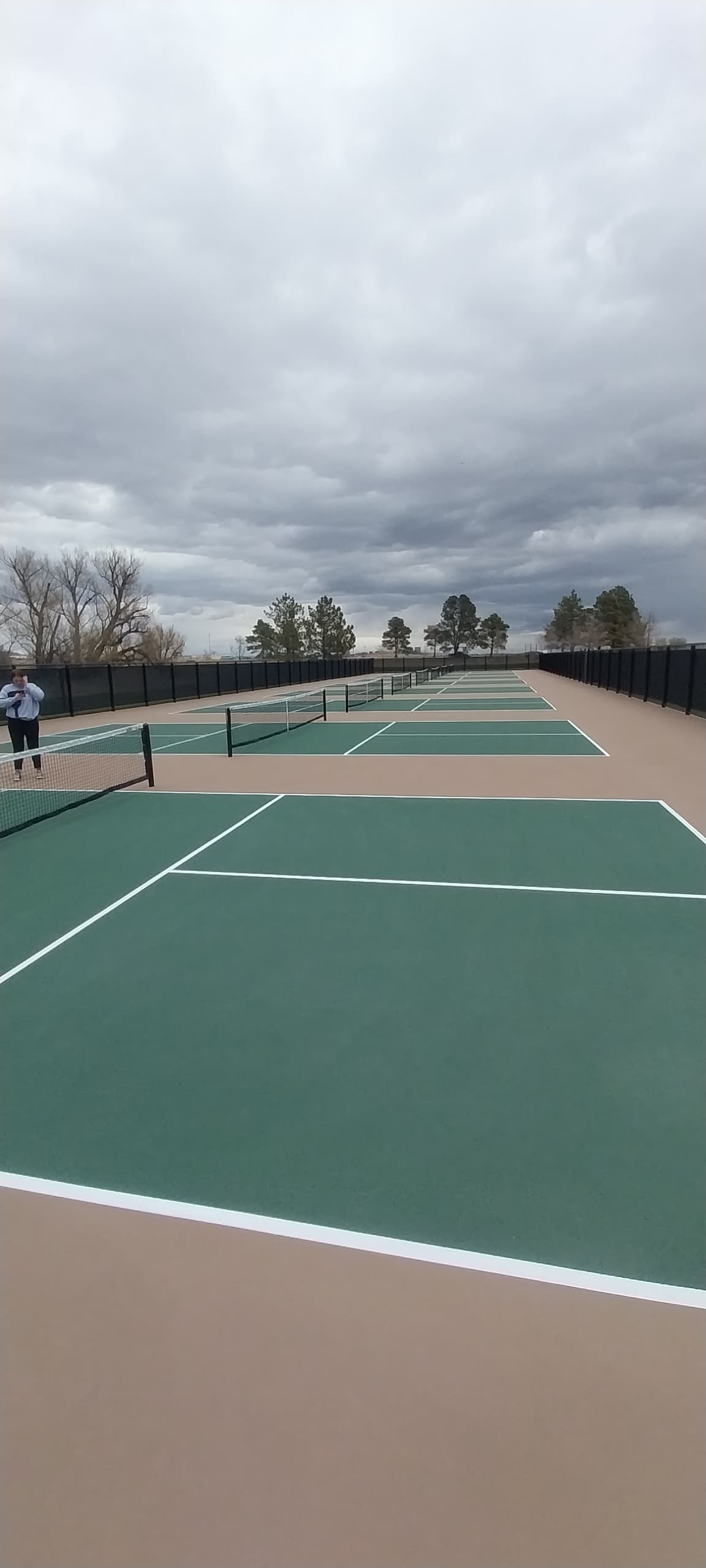 Lions Park pickleball courts