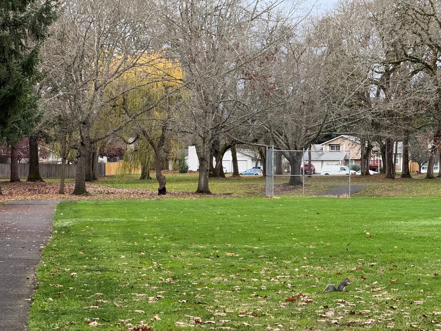 Oakbrook Park pickleball courts