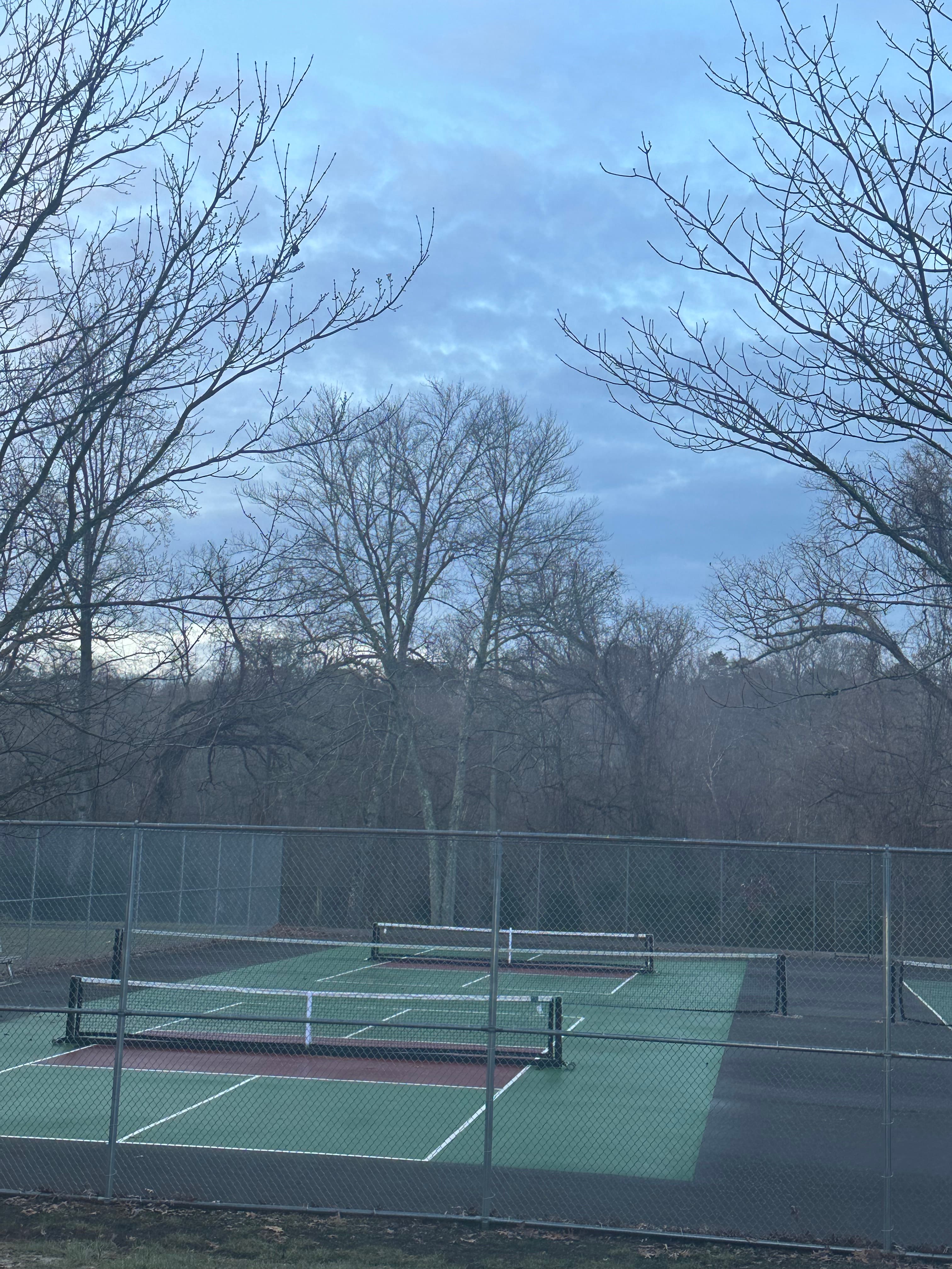 Pine park pickleball courts