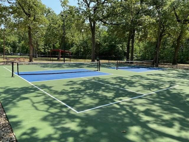 The Backyard at Waterloo Park pickleball courts