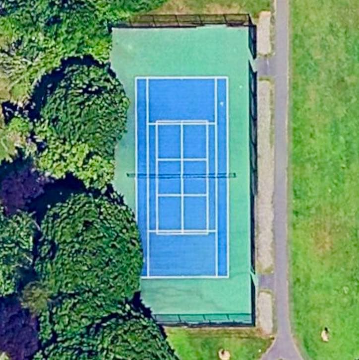 Friendly Grove Park pickleball courts