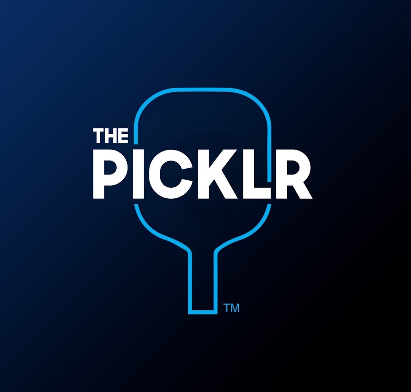 The Picklr Austin Oak Hill pickleball courts