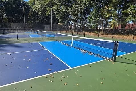 Sanborn Park pickleball courts