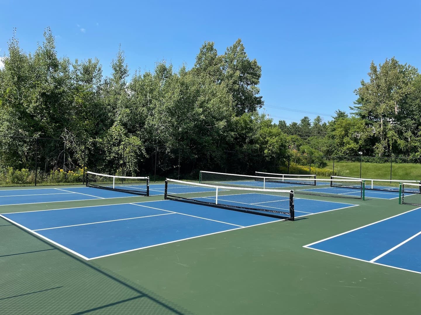 Rossignol Park pickleball courts