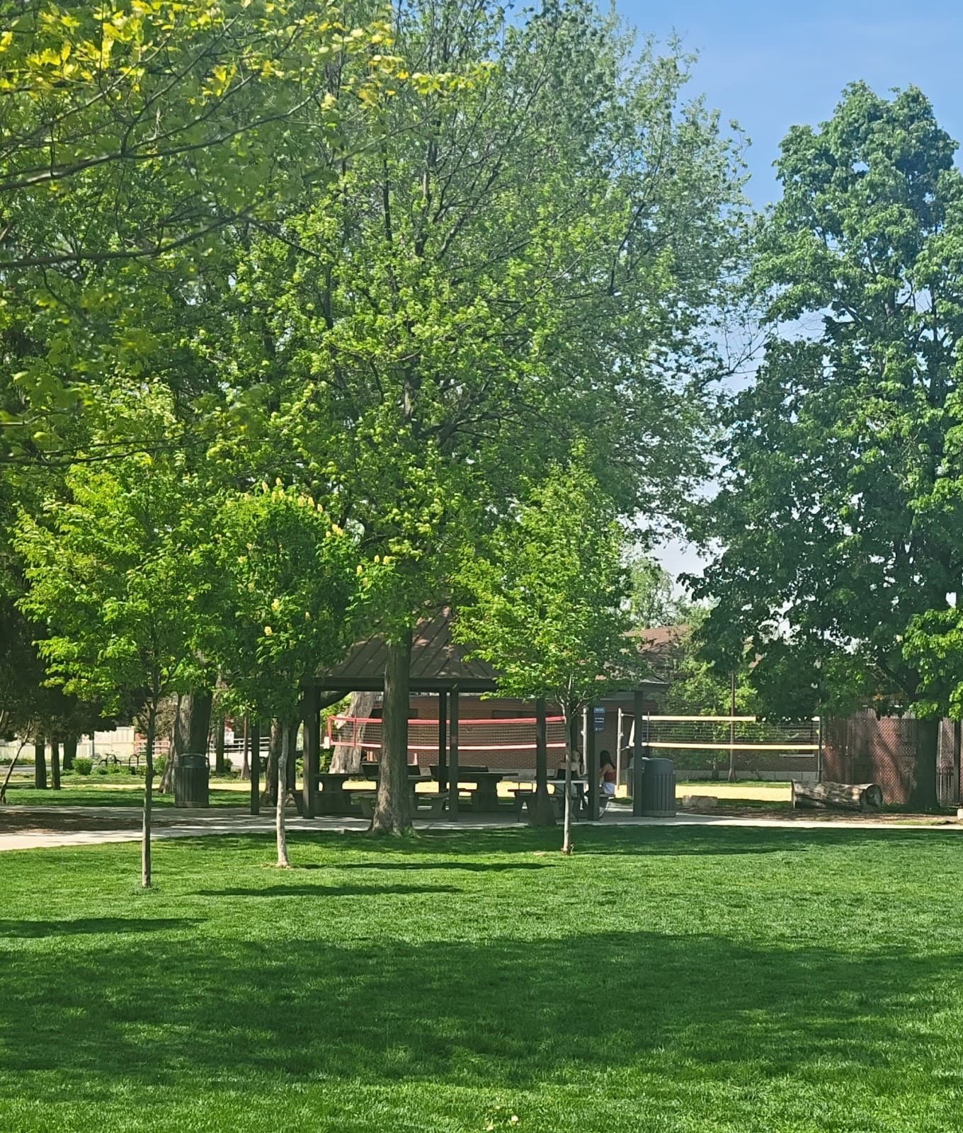 Rehm Park pickleball courts