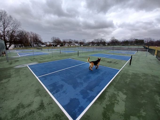Tri-City Park pickleball courts