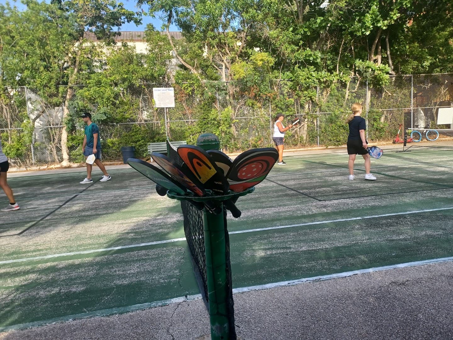 Coconut Grove Tennis Court pickleball courts