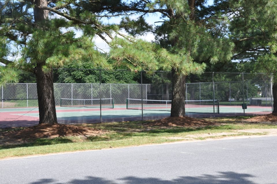 Showell Recreation Area pickleball courts