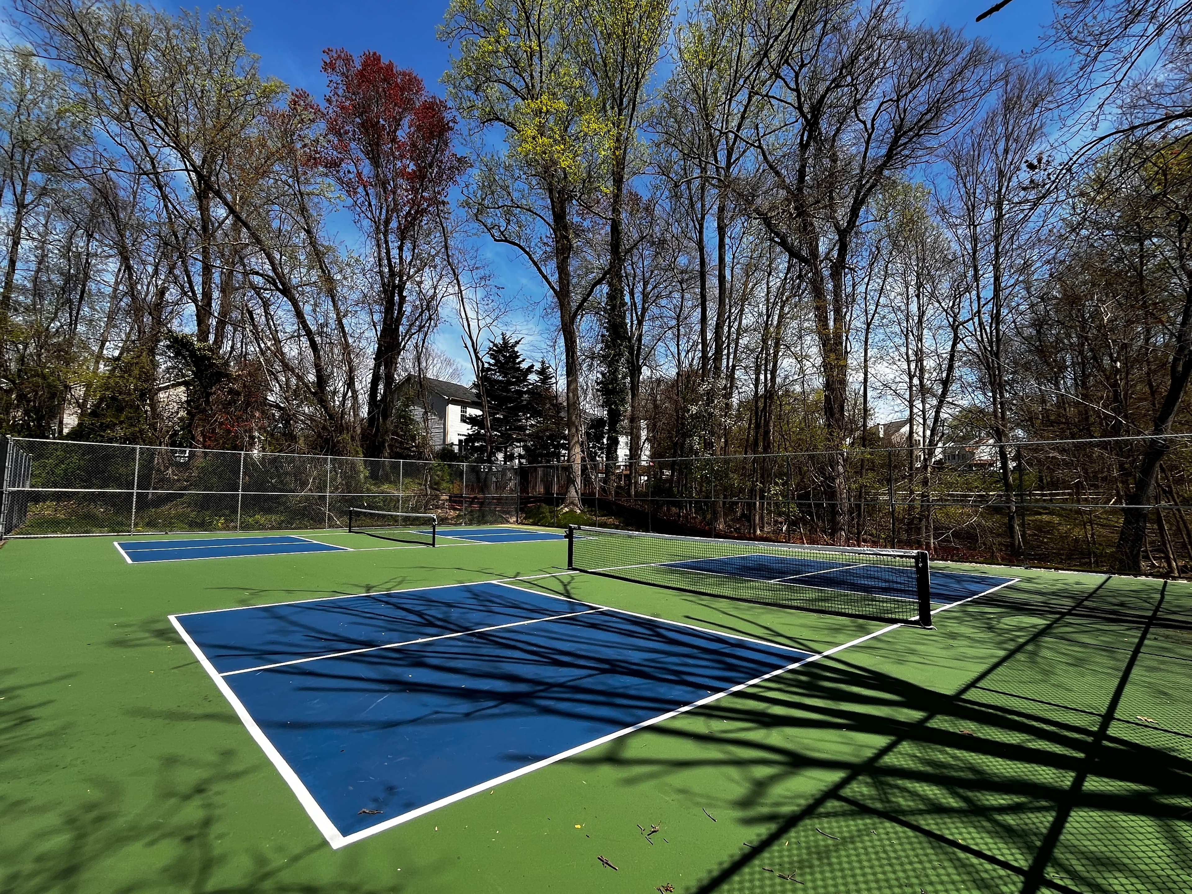 Homestead Park pickleball courts