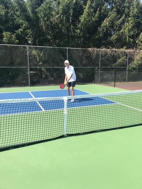 Plainwell pickleball courts