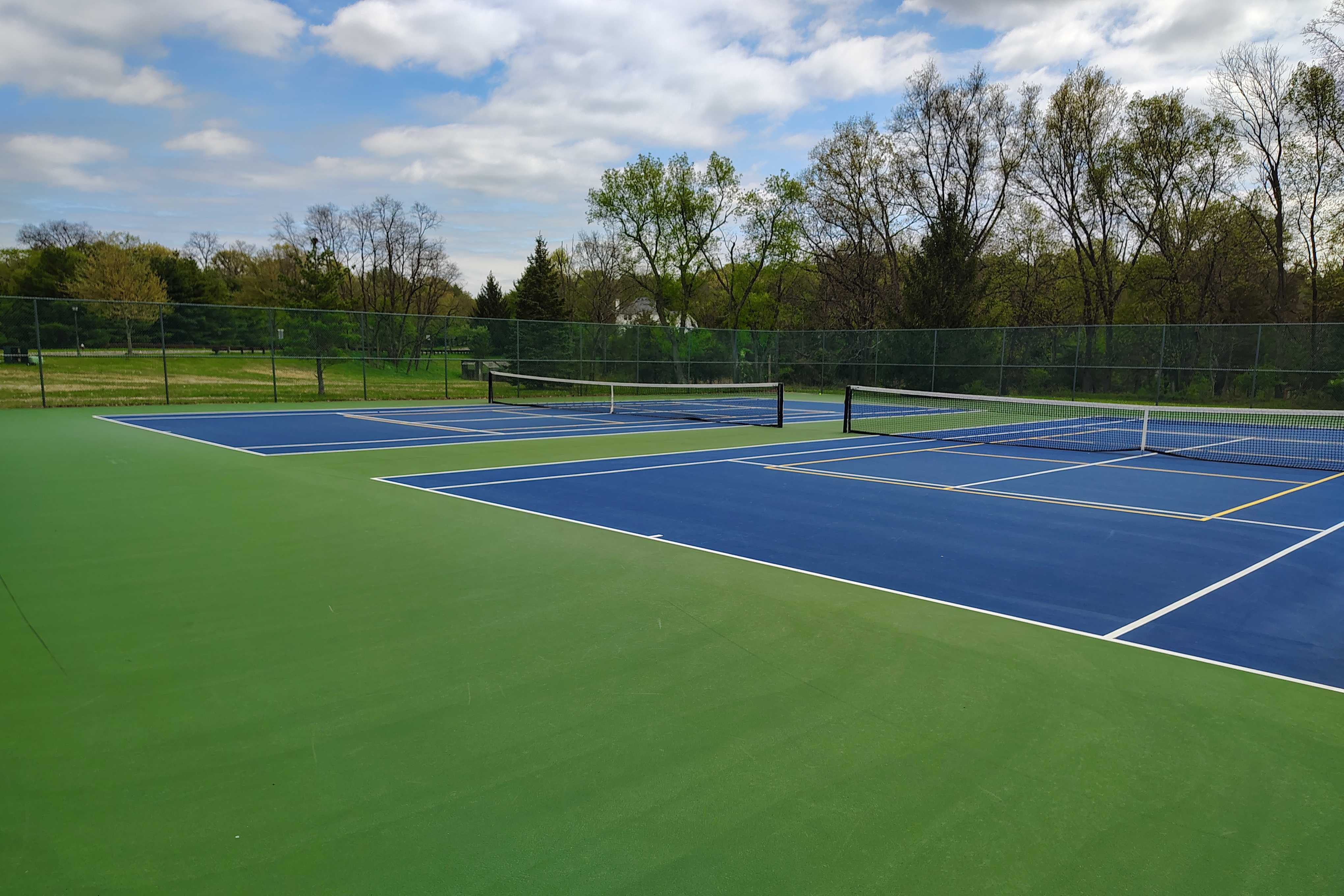 Amsterdam School Fields pickleball courts