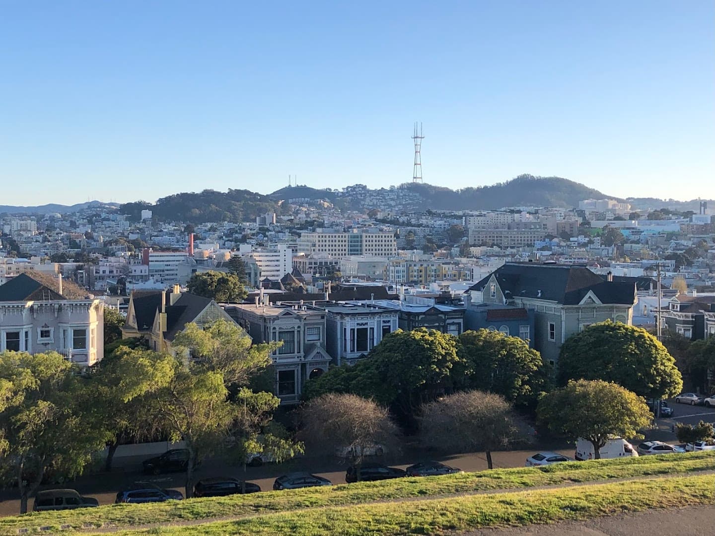 Alta Plaza Park pickleball courts
