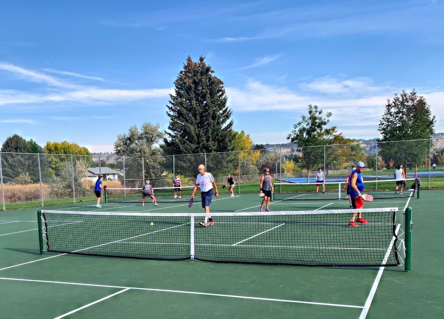 Lillis Park Pickleball Courts pickleball courts