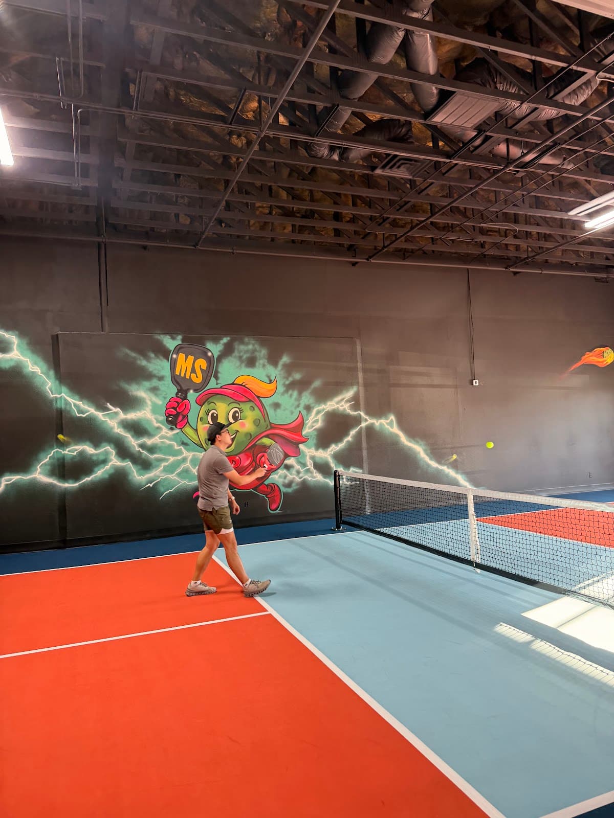 Mr. Pickleball pickleball courts