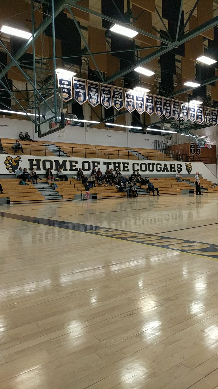 Evergreen High School pickleball courts