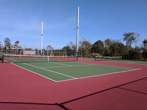 Moon Park pickleball courts