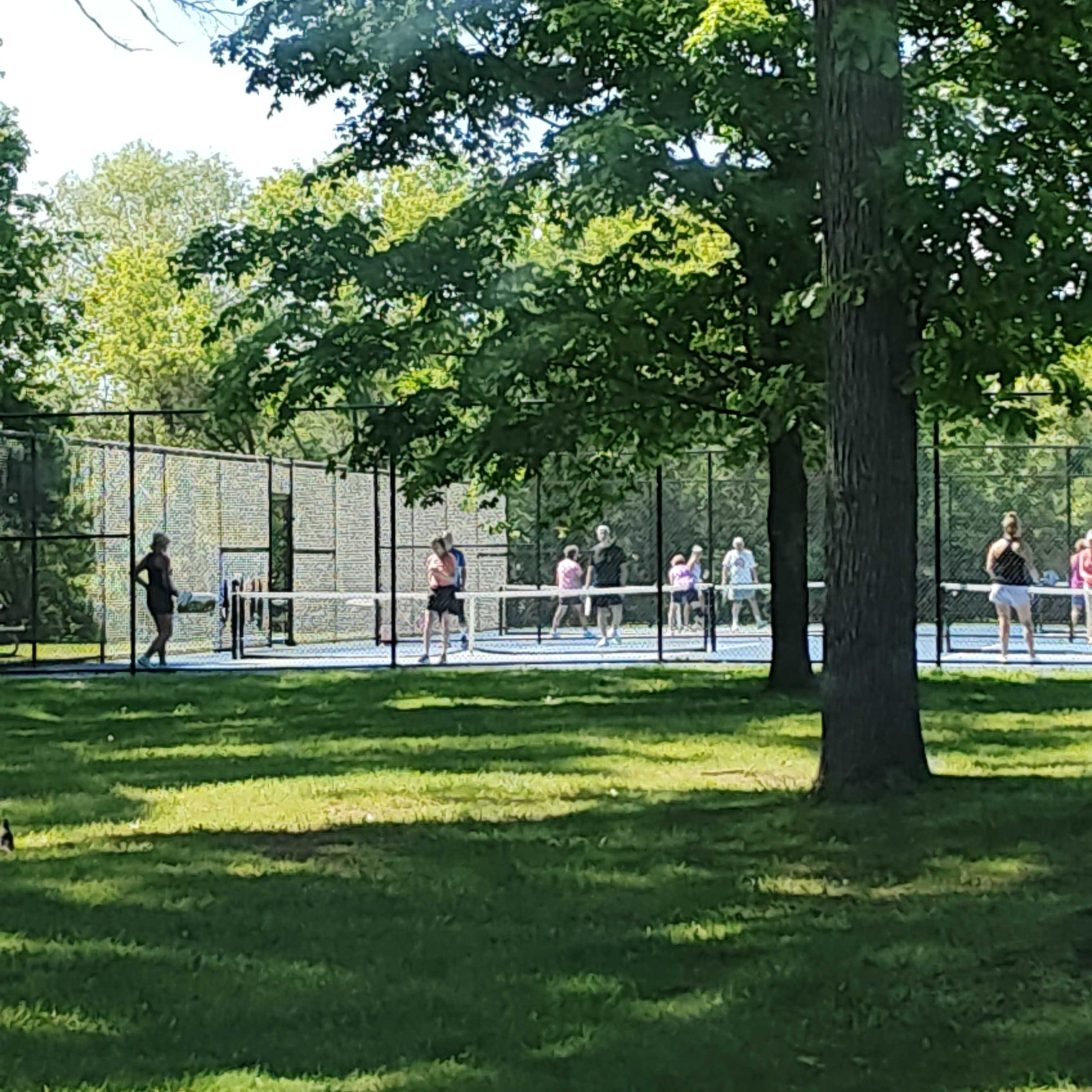 Kuckuk park pickleball courts