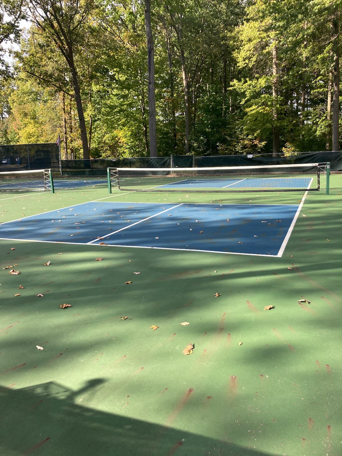 Willow Park pickleball courts