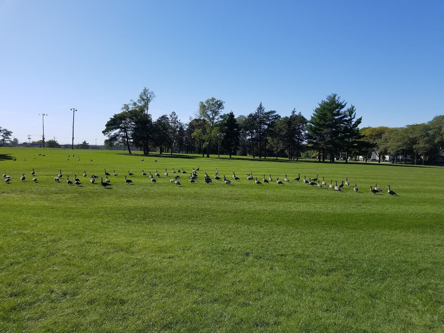 Four Seasons Park pickleball courts