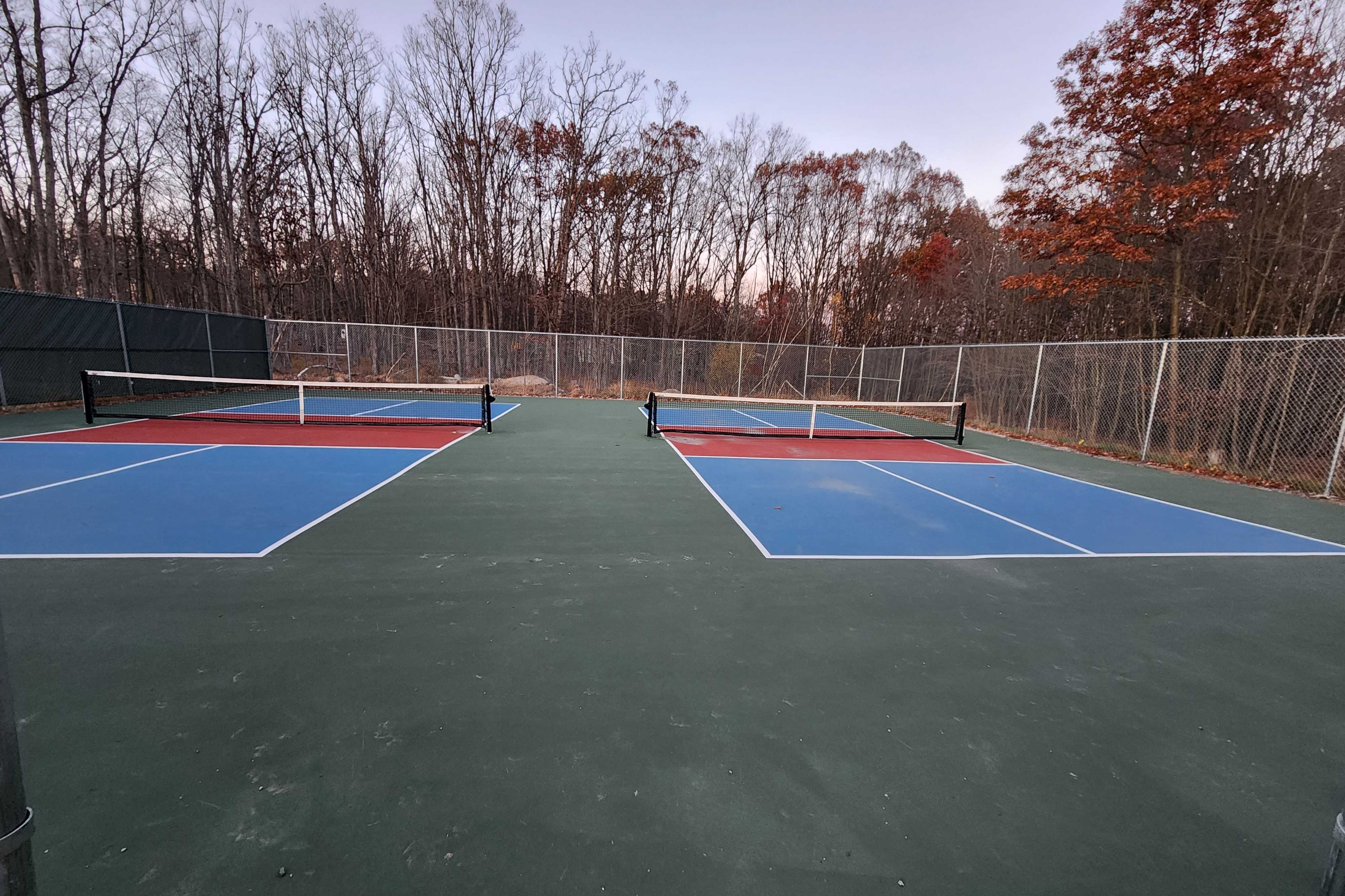 Community Park pickleball courts
