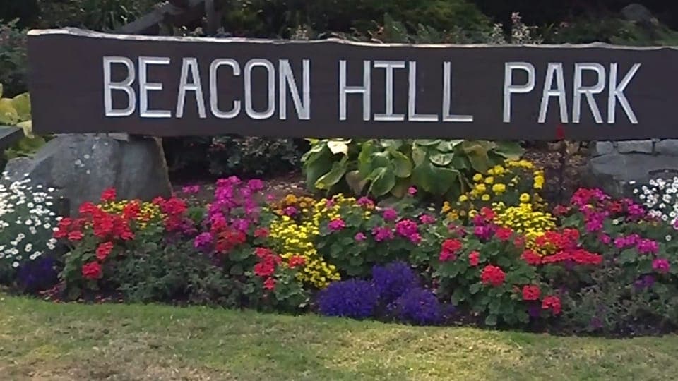 Beacon Hills Park pickleball courts