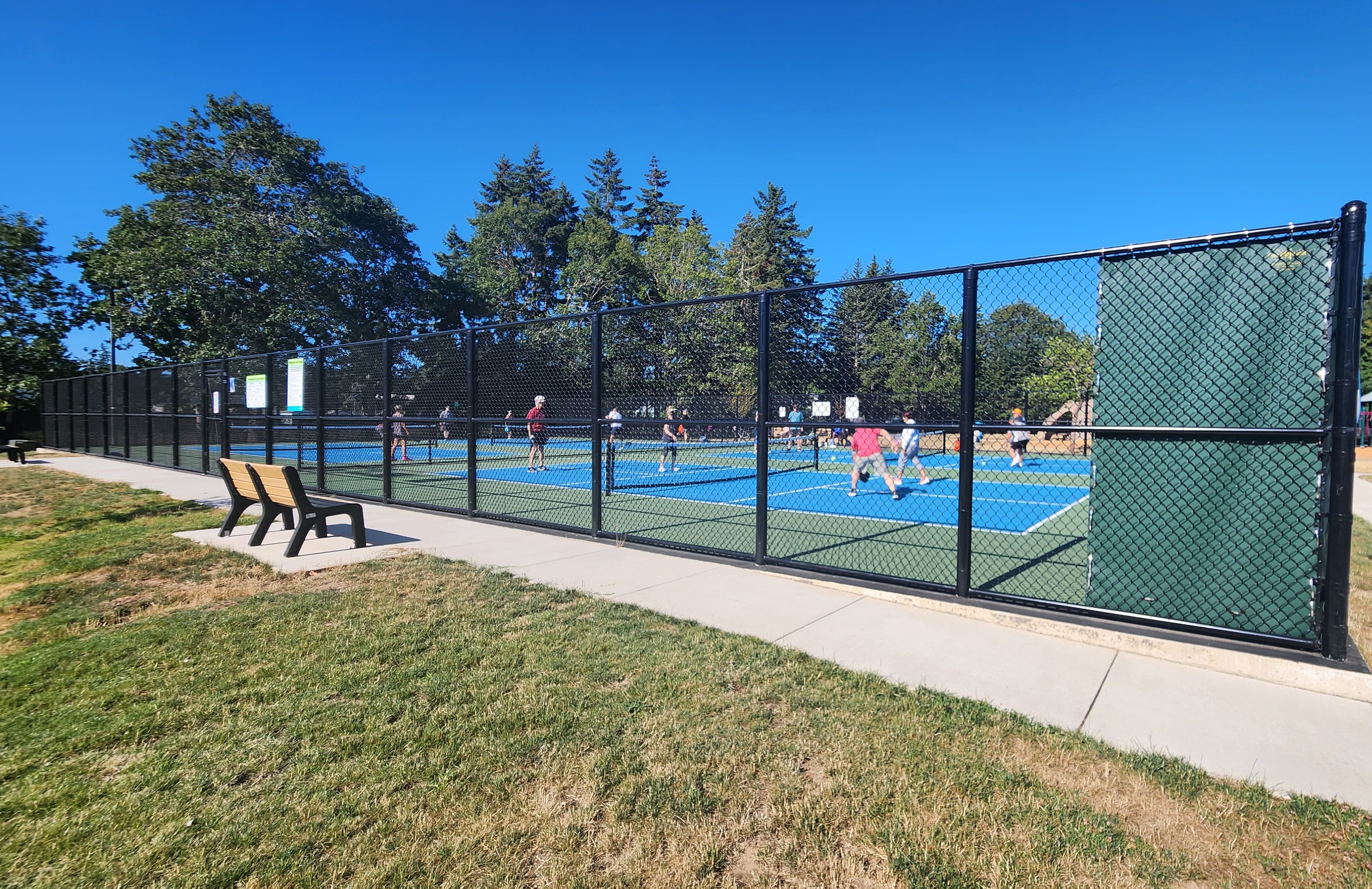 Territorial Park pickleball courts