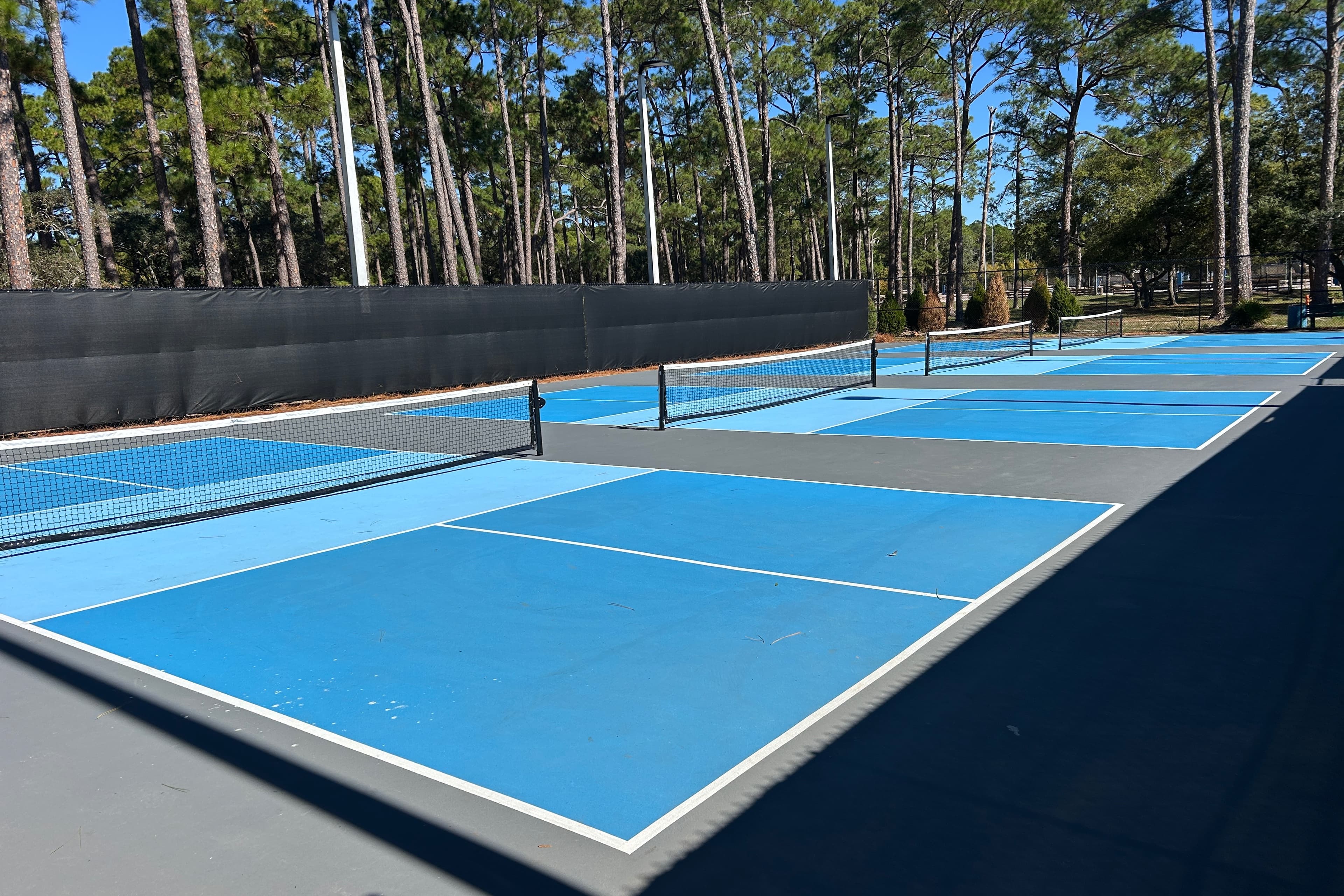Shoreline Park Pickleball Courts pickleball courts