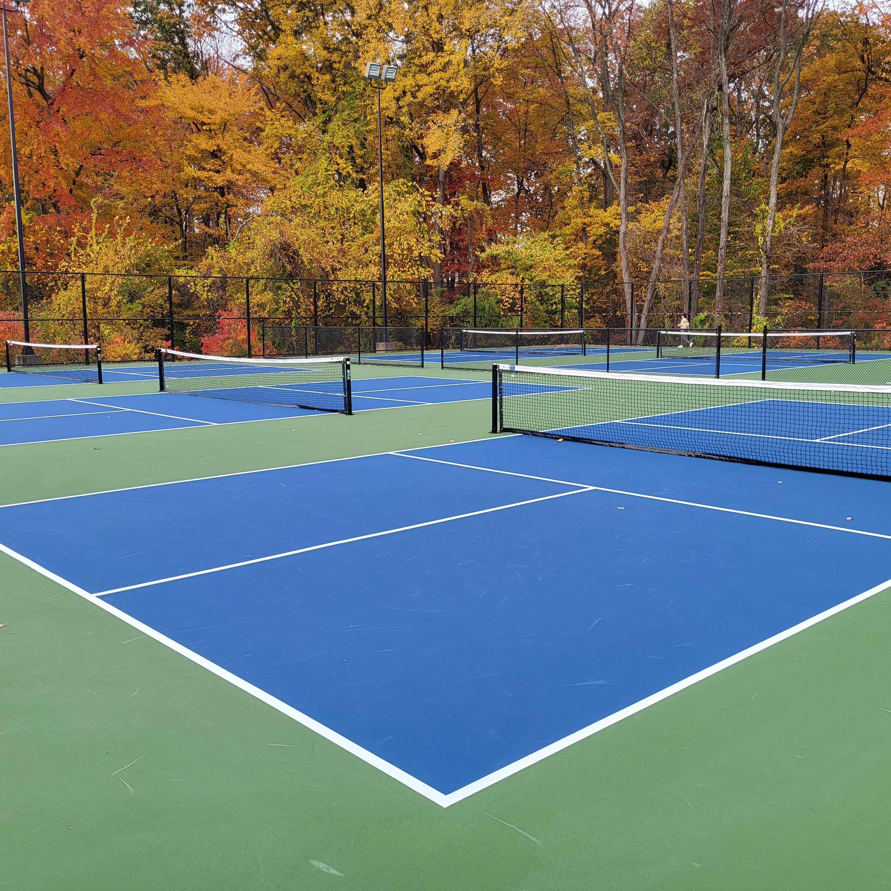 LP Wilson Community Center pickleball courts
