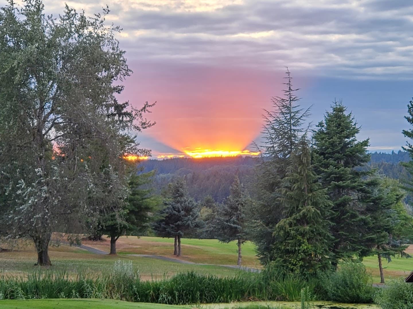 Vashon Island Golf & Country Club pickleball courts