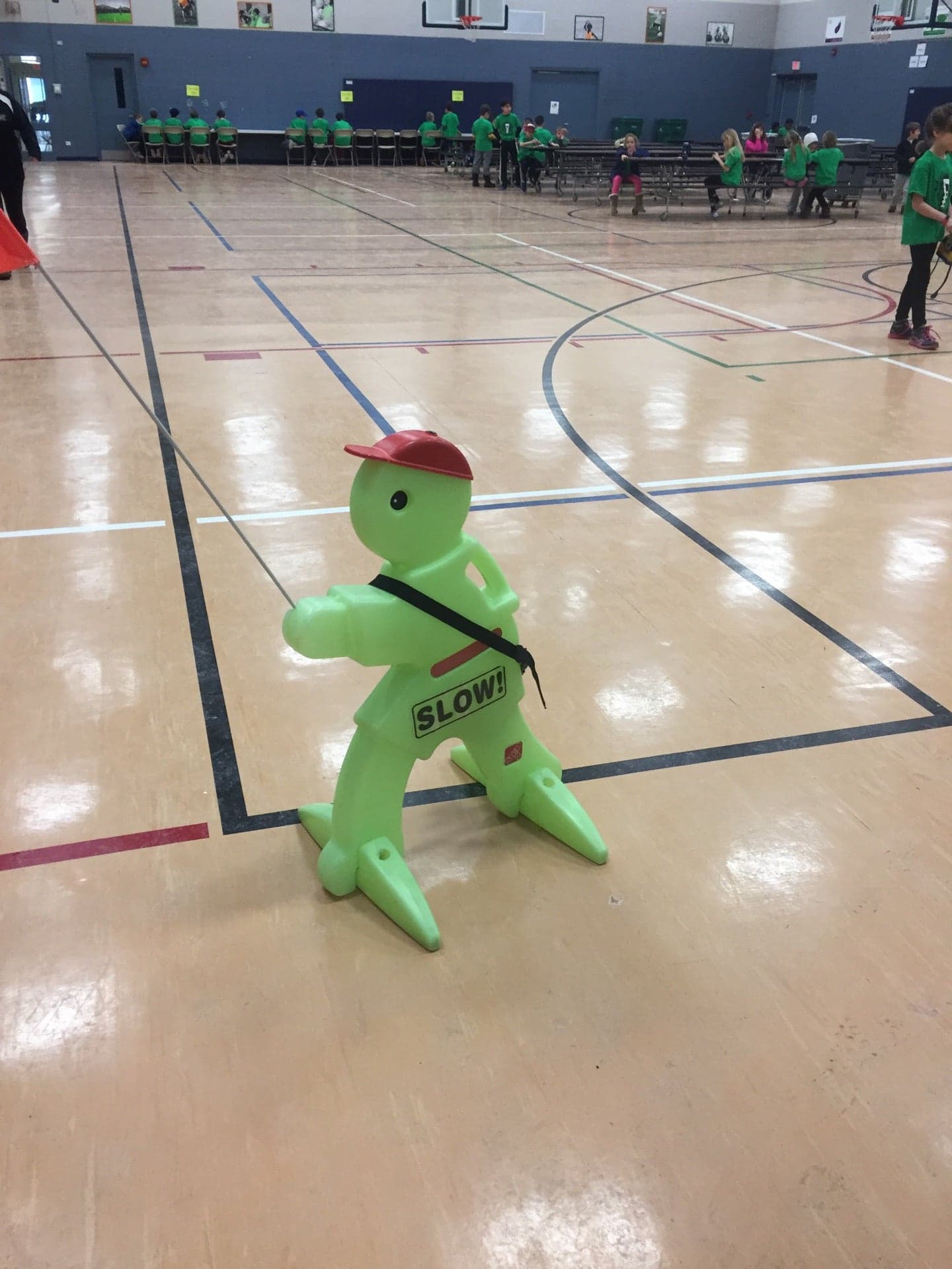 Buffalo Grove Park District, Ivy Hall School pickleball courts