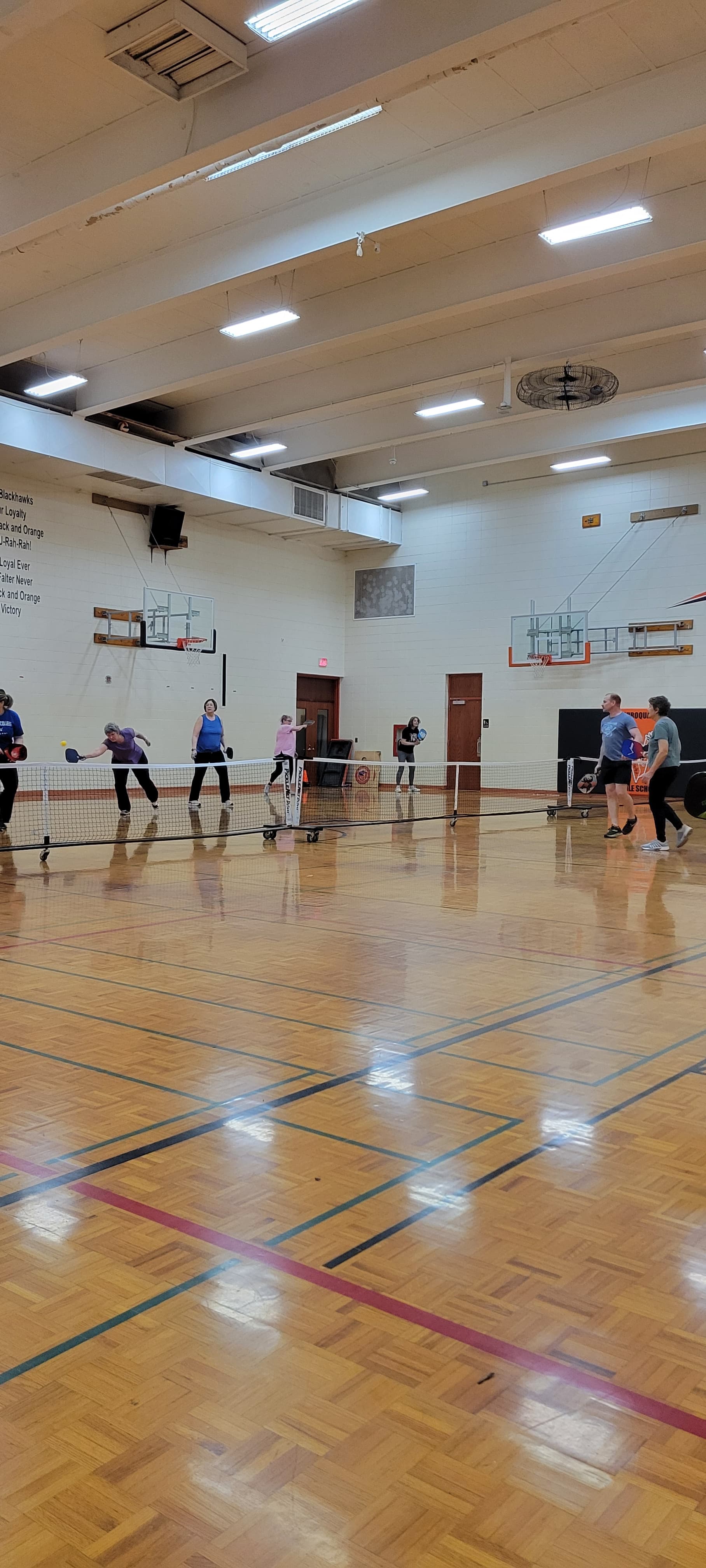 Viroqua Middle School pickleball courts