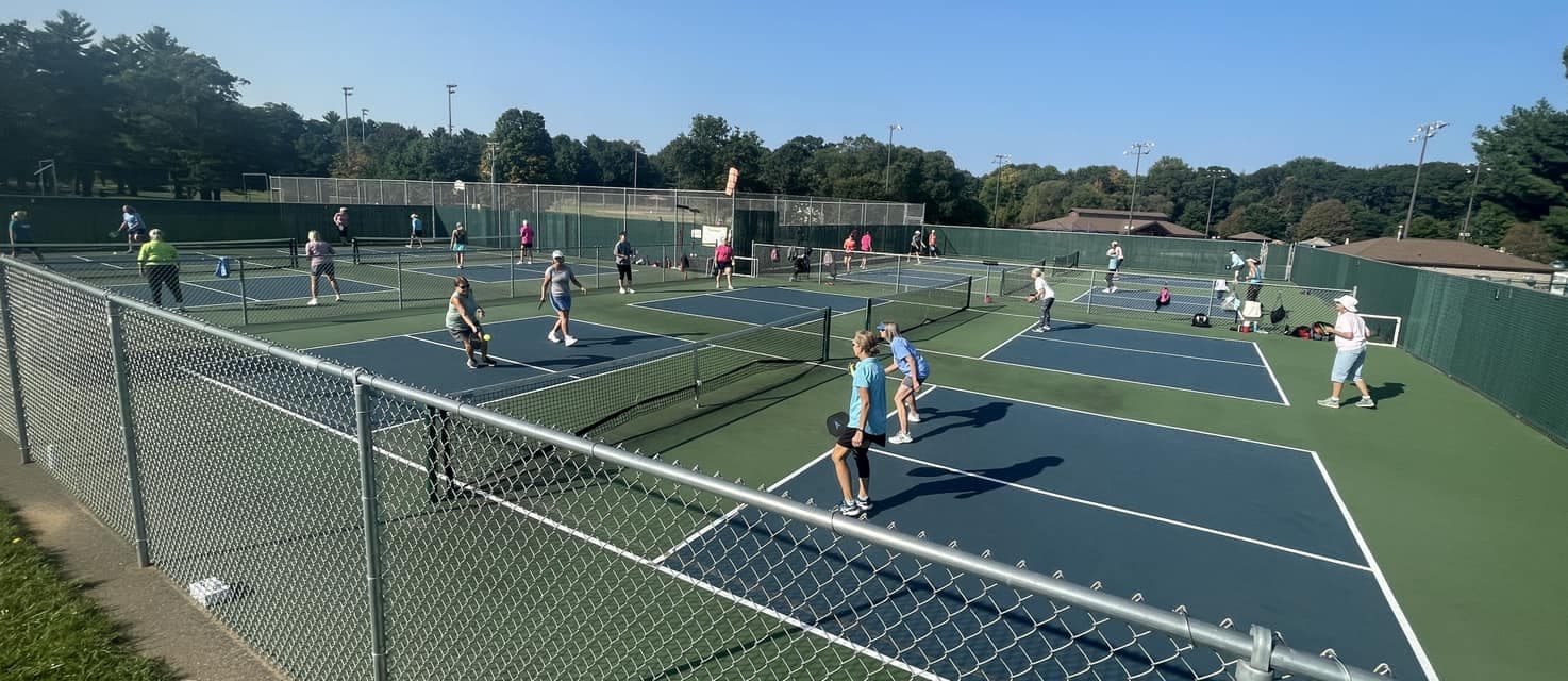 Wakanda Park pickleball courts